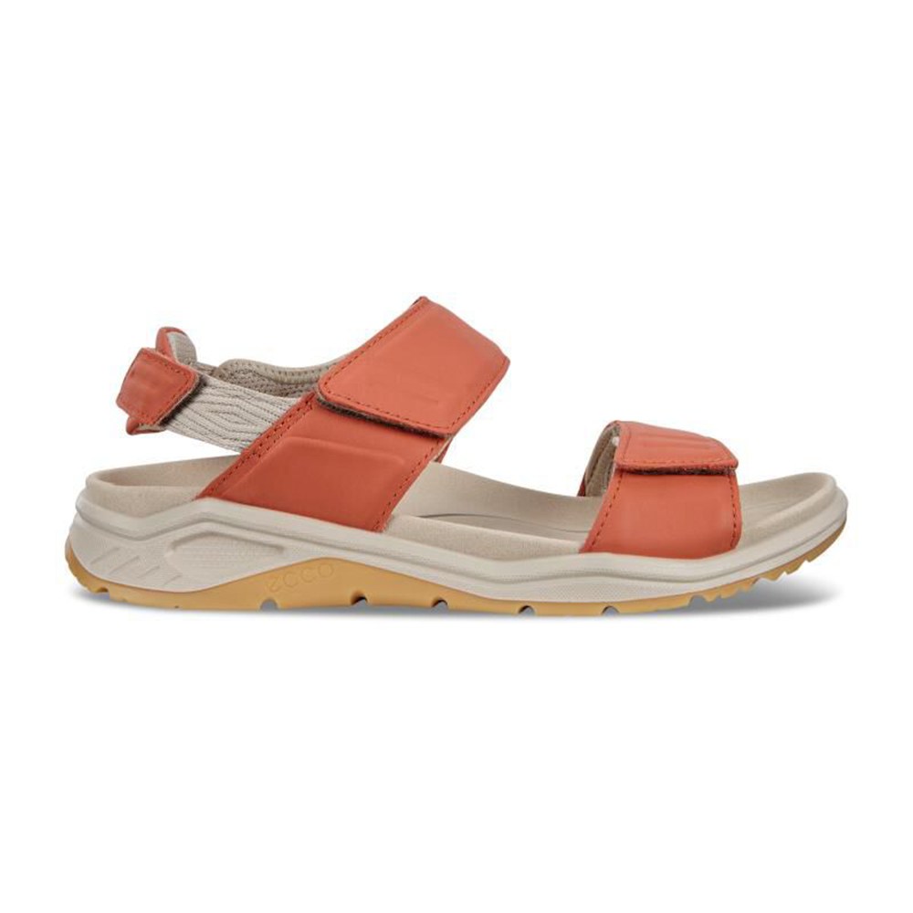 Sandalias Mujer - ECCO X-Trinsic Flat - Albaricoque - LWN465180